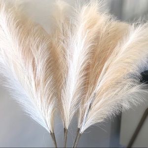 $250 Faux High Quality Pampas grass 3-6 stems